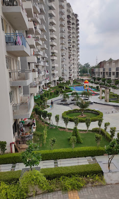 Divinity Homes Society Landscape Project by Rajput Farms