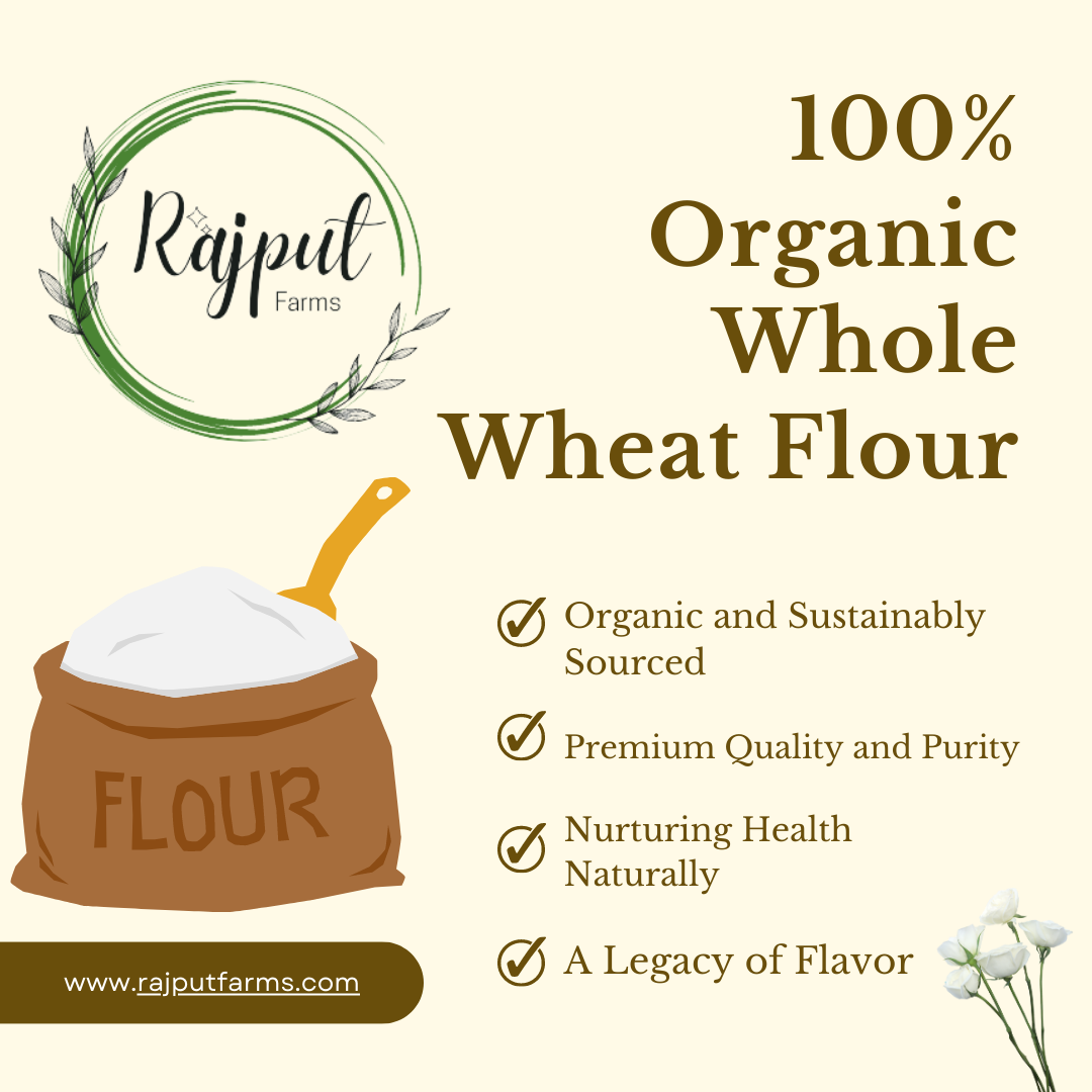 Rajput farms best quality wheat grains