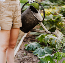 Nurturing Nature's Best at Rajput Farms