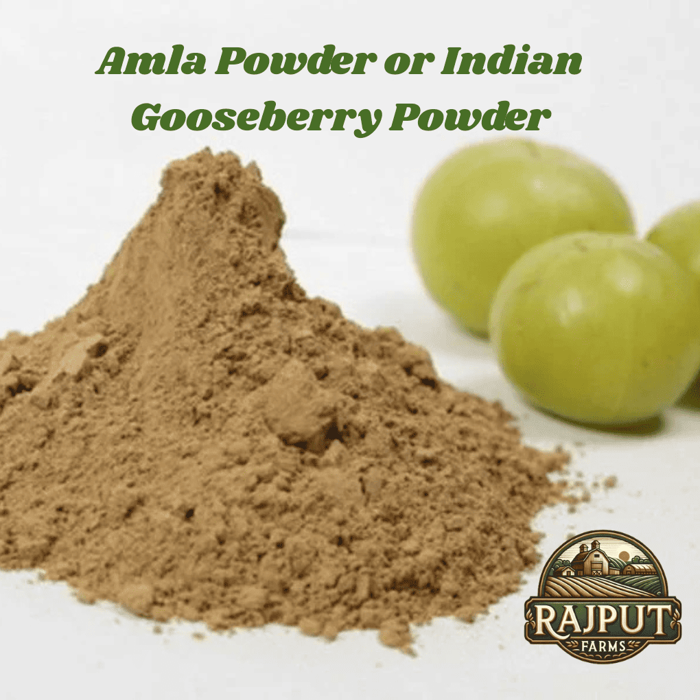 Rajput Farms Export Gallery | Rajput Farms