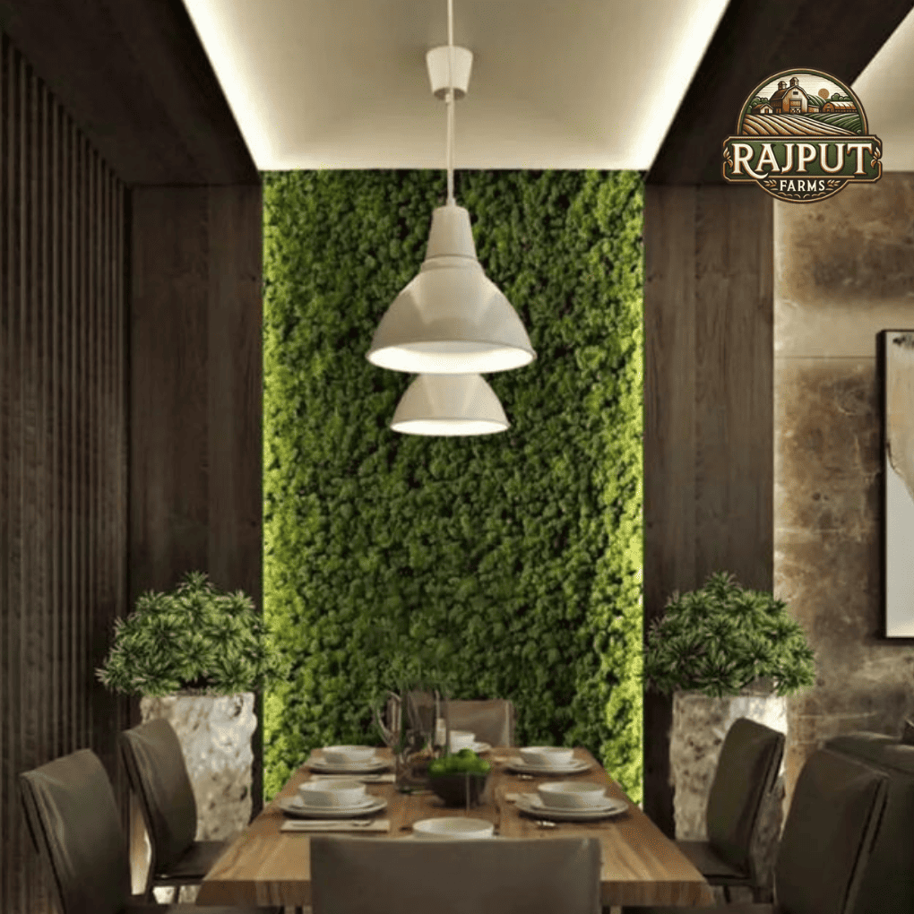 Moss / Green Wall Installation