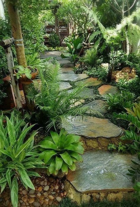 Riparian Rainforest (Rill/Pond Edge) Rainforest Garden Blueprint by Best Pond Maker in Ayodhya