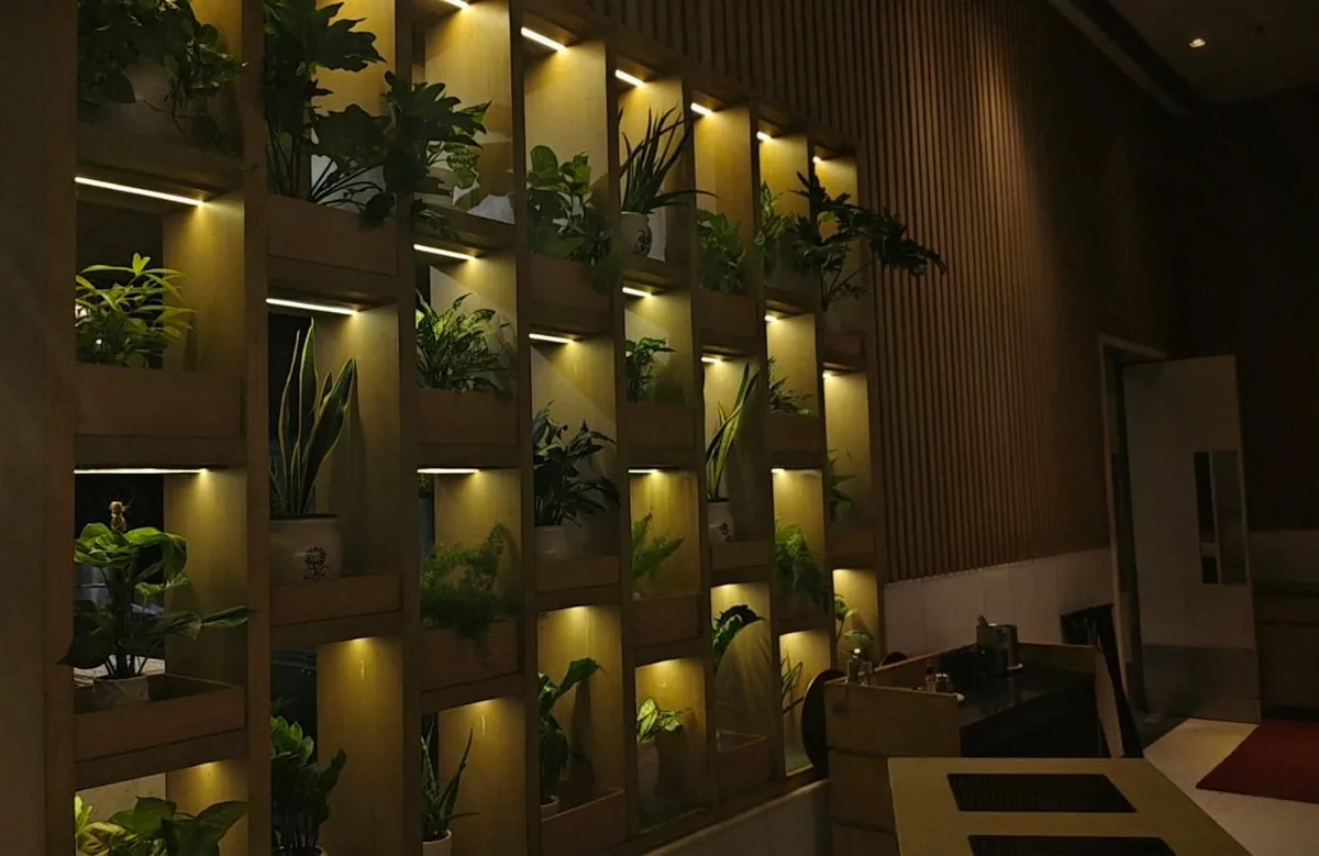 Vertical Garden Maintenance: A Year-Round Care Plan