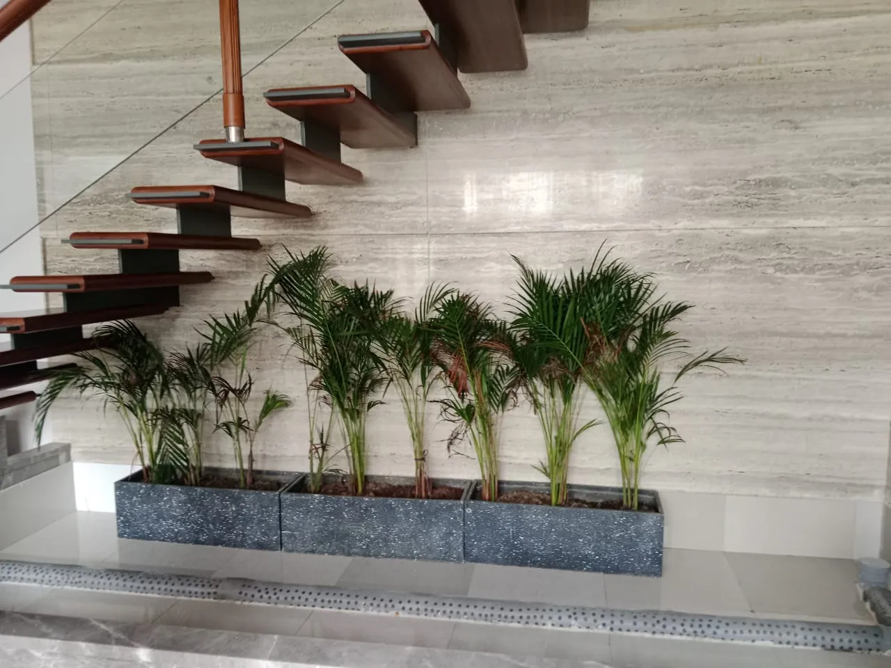 Indoor Garden Development