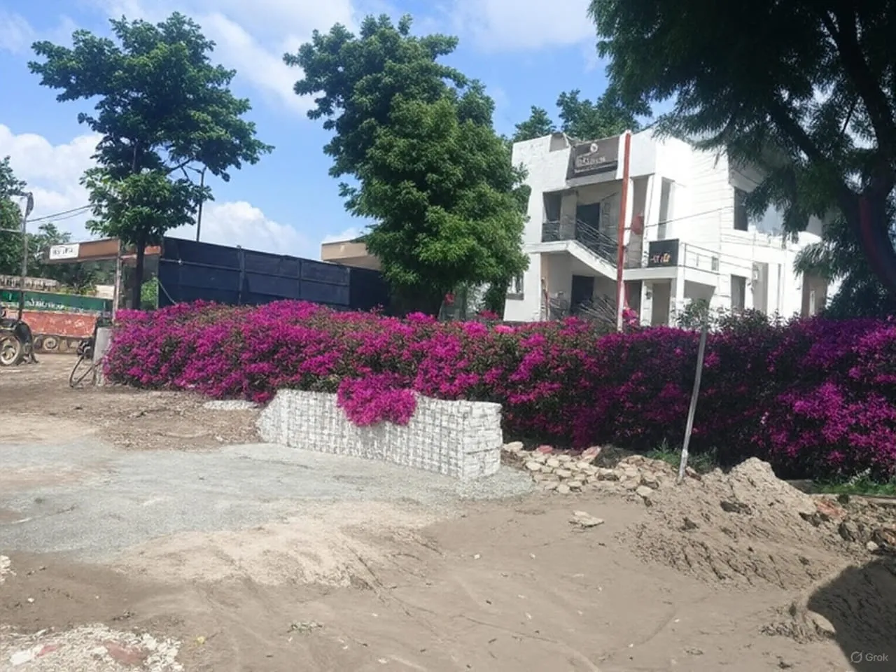 Bougainvillea bed planting in progress at a landscaping site in Varanasi