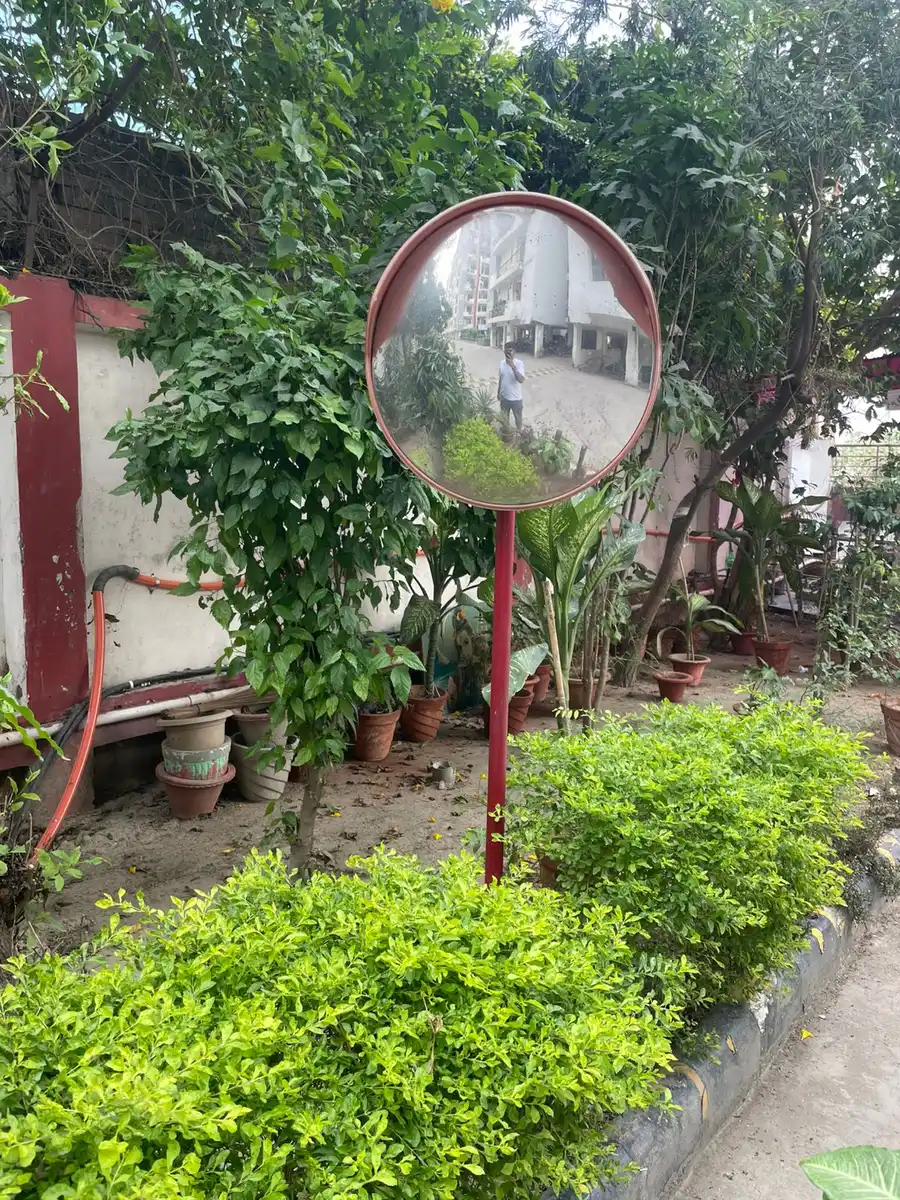 Clipped shrubs and hedges beside a society path