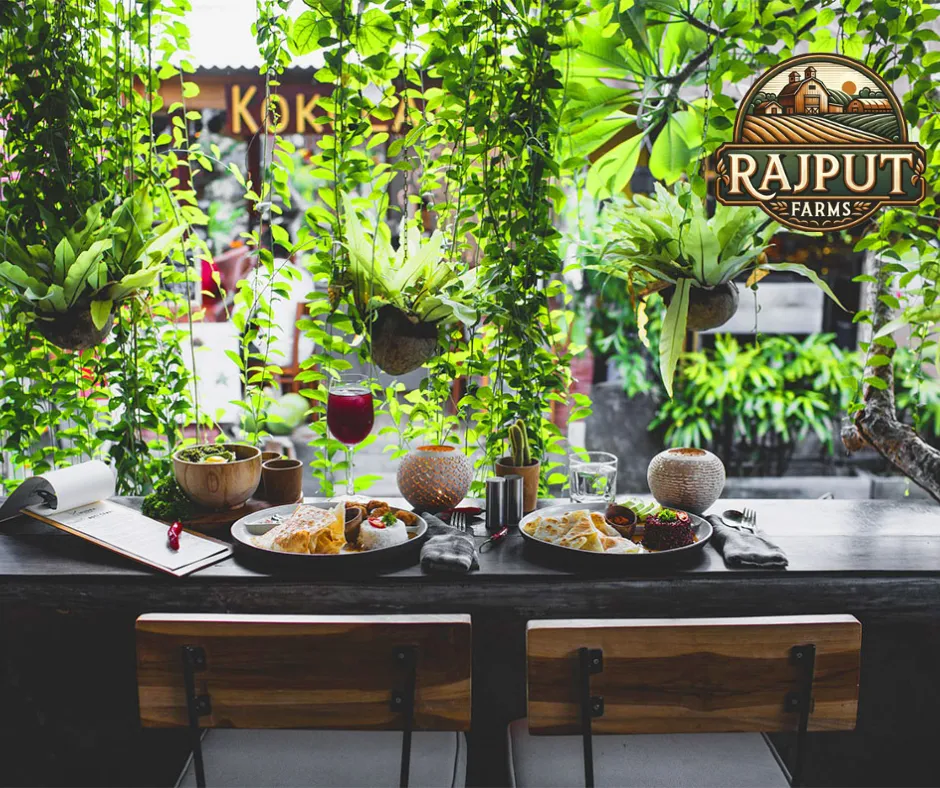 Concept design: cafe garden with hanging plants and vertical green wall by Rajput Farms