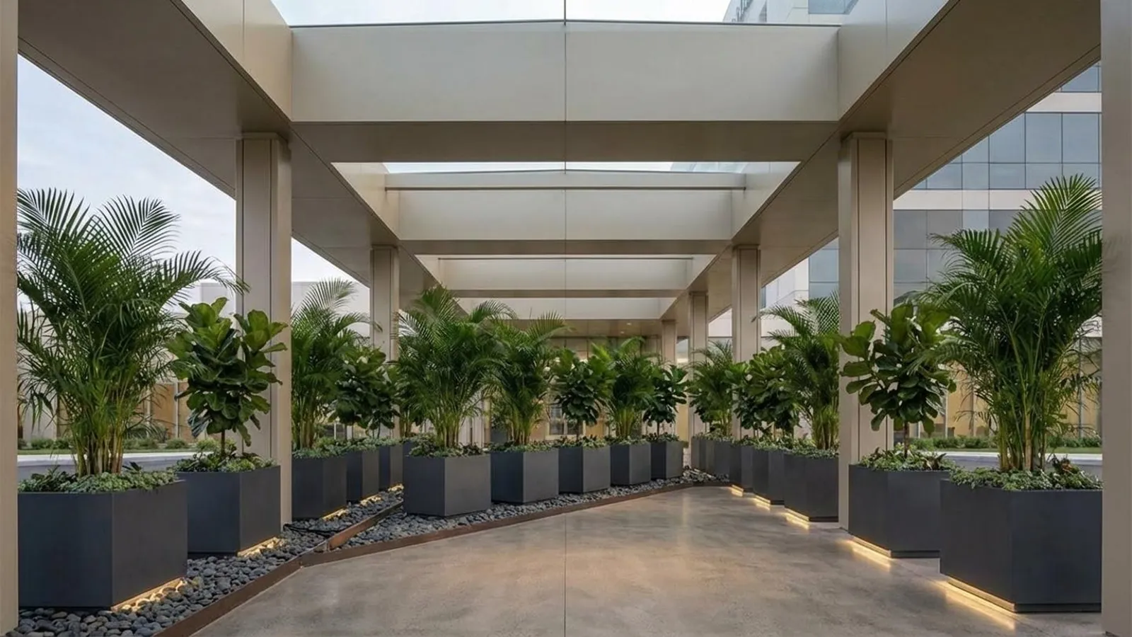 Concept design: covered corridor with symmetrical areca palm planters and warm lighting