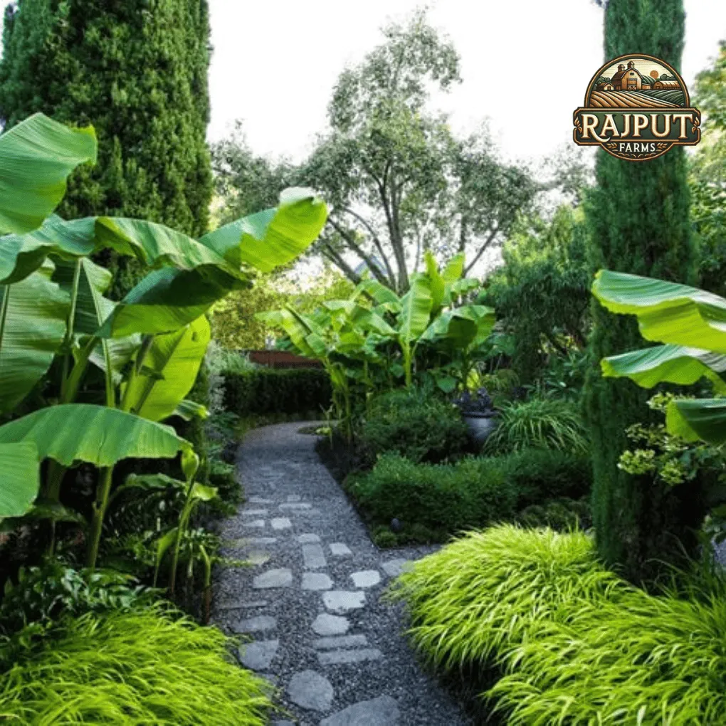 Concept design: dense rainforest garden path for an oxygen-rich green space