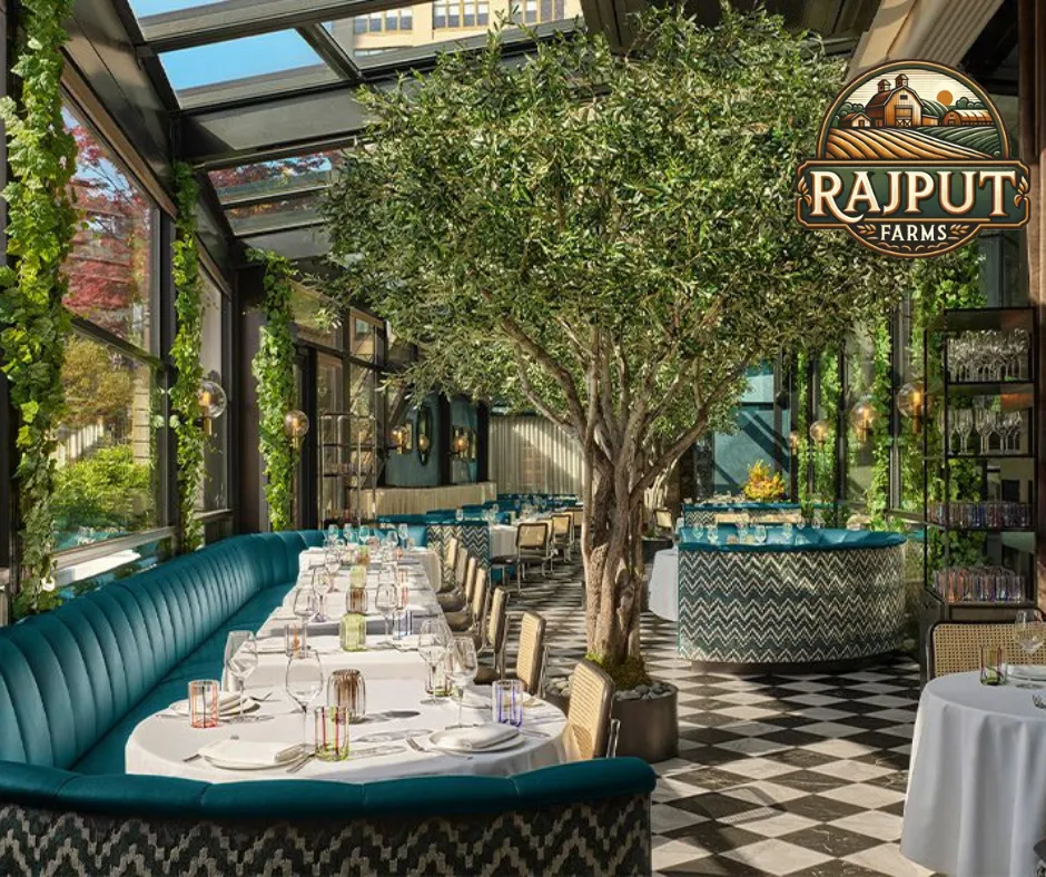 Concept design: green restaurant interior with indoor olive tree