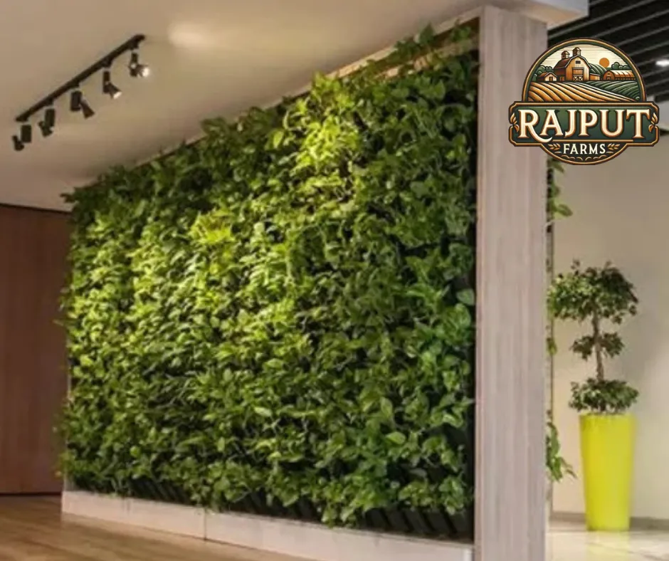 Concept design: indoor vertical green wall with topiary
