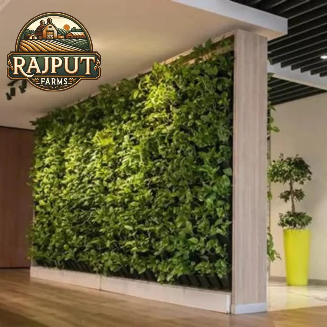Concept design: interior living green wall panel with topiary