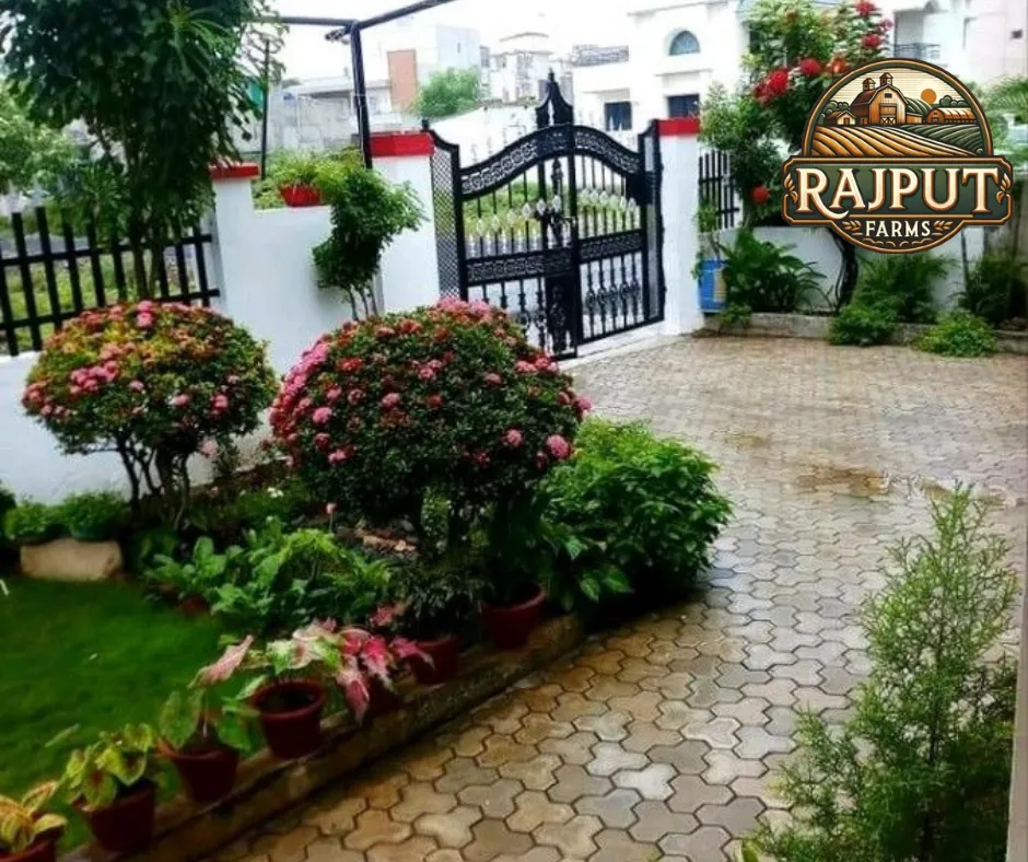 Concept design: kothi front garden with flower beds and paver driveway