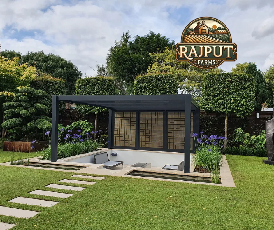 Concept design: modern garden with steel pergola and stepping-pad lawn