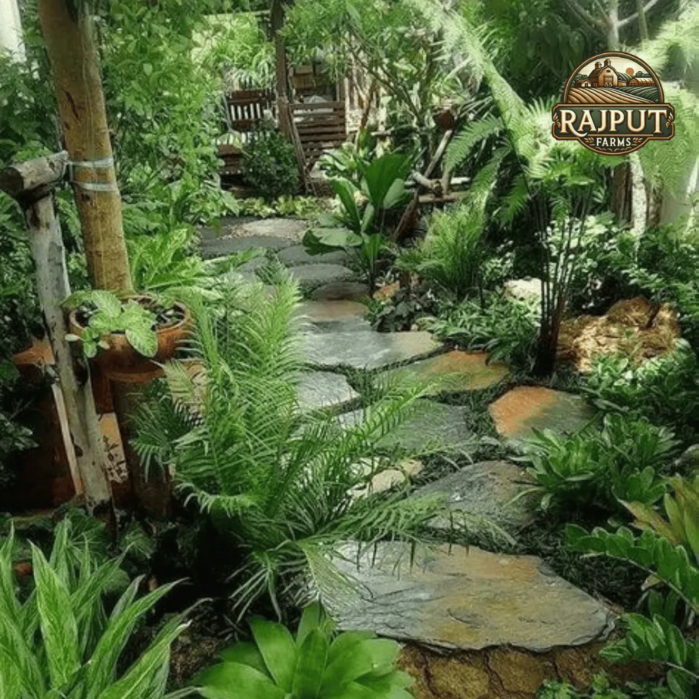 Concept design: palm forest garden with flagstone path and ferns
