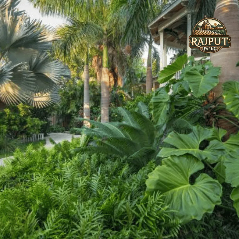 Concept design: palm garden with tropical foliage beside a veranda