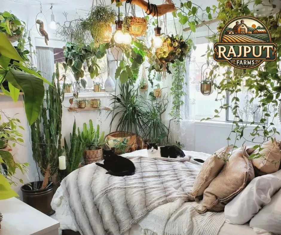 Concept design: plant-filled bedroom with hanging and potted indoor plants