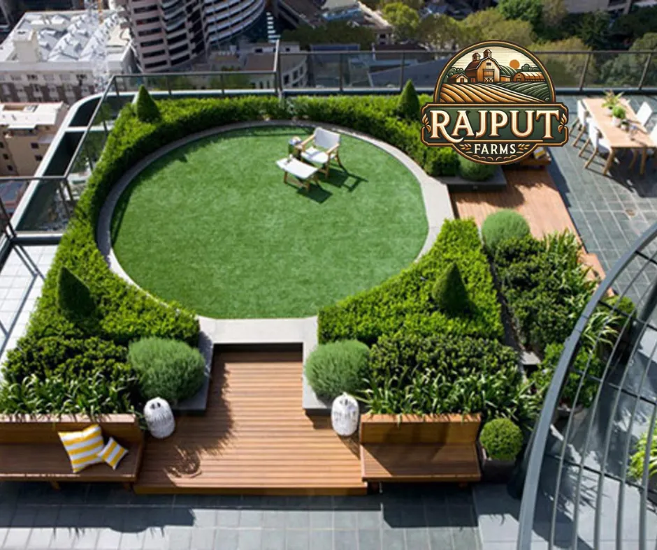 Concept design: rooftop green space with circular lawn and clipped hedges