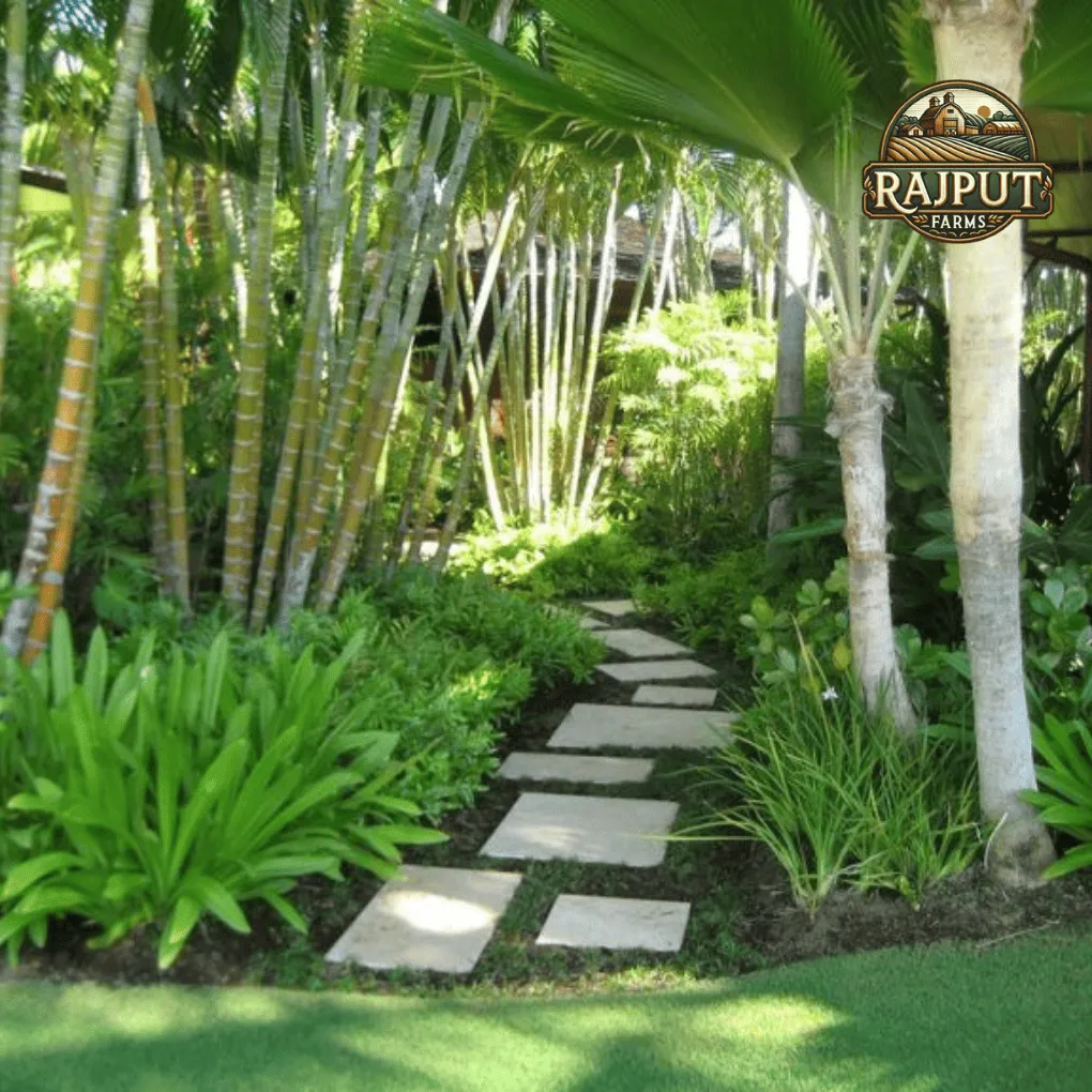 Concept design: tropical forest garden with stepping-stone path