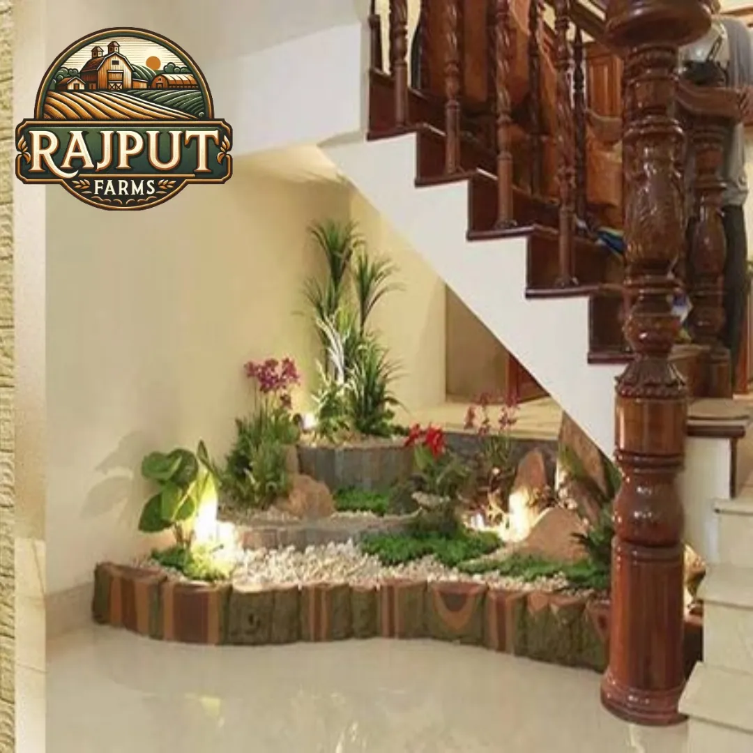 Concept design: under-stair indoor garden with pebbles and plants