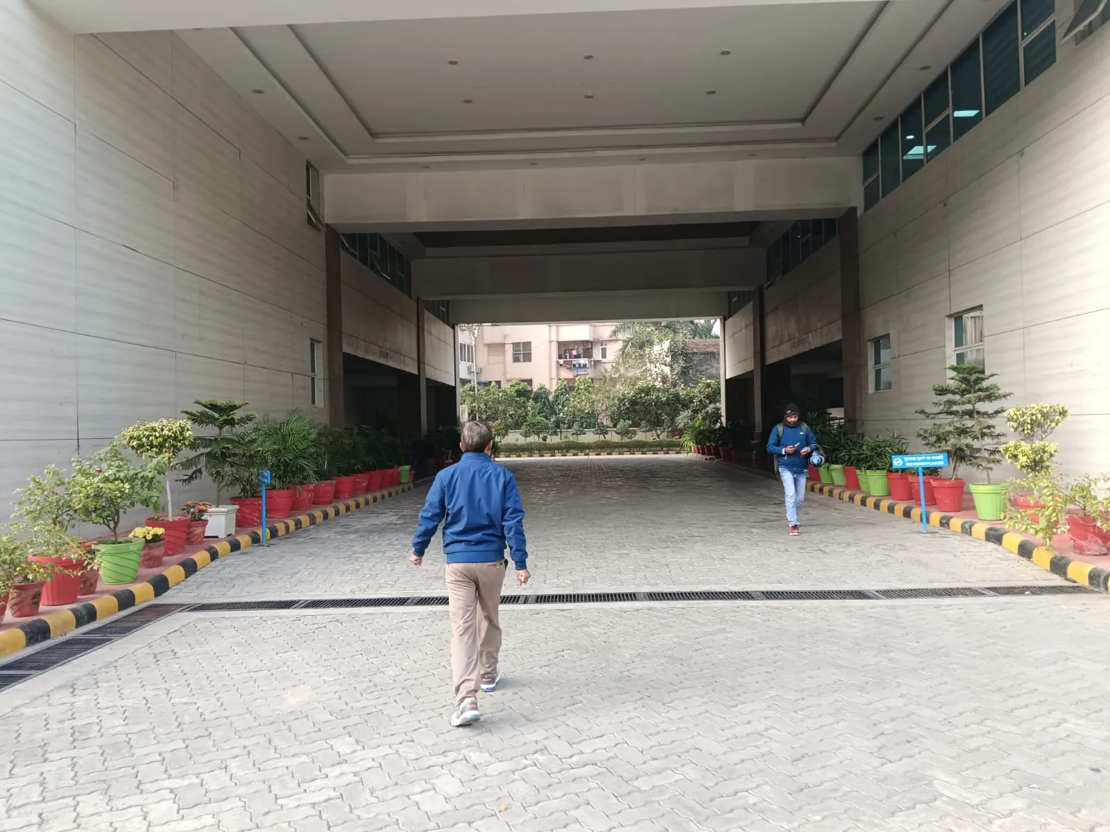 Covered paver driveway lined with potted plants at a government office