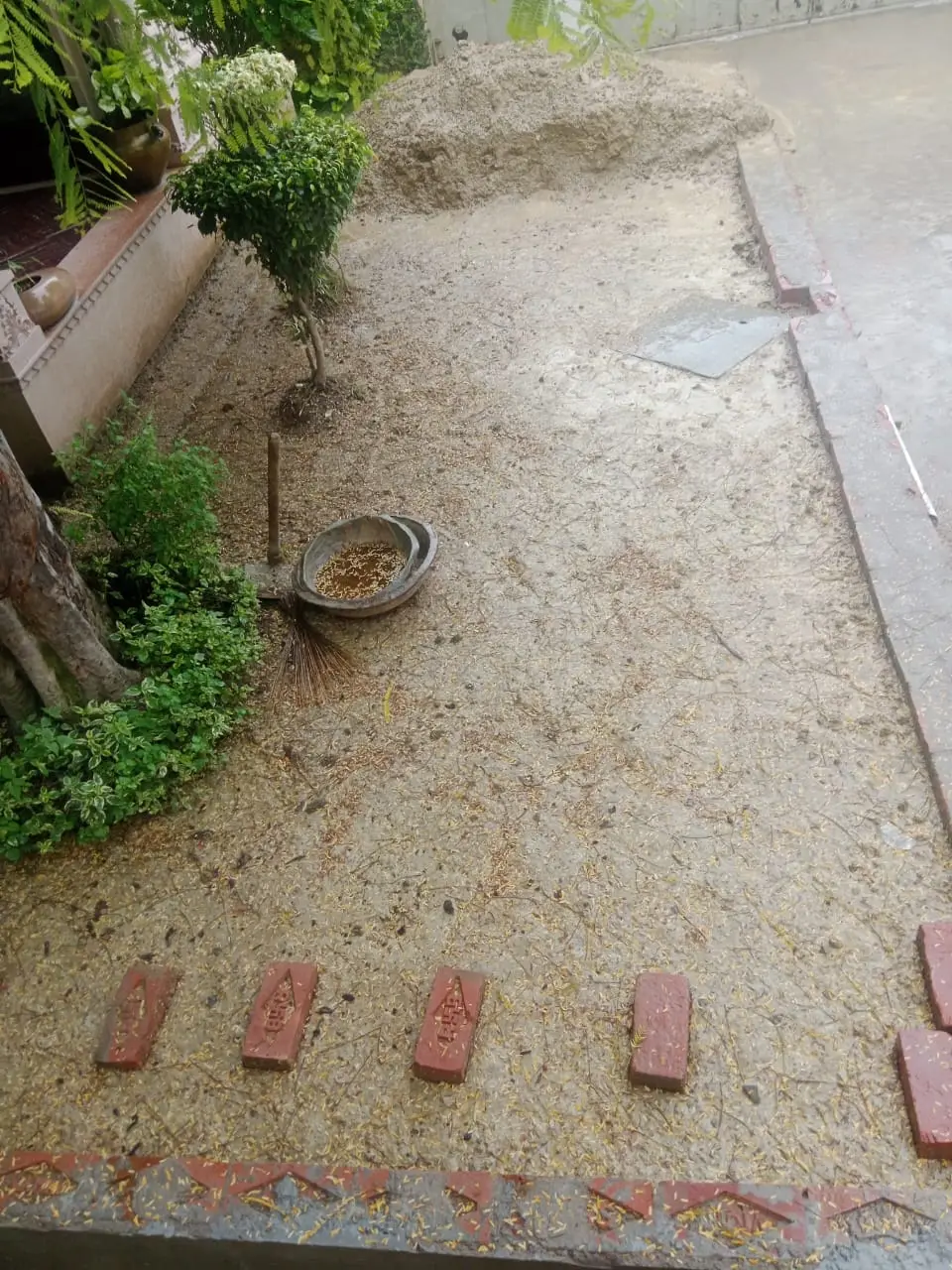 Garden strip soil preparation with brick path markers