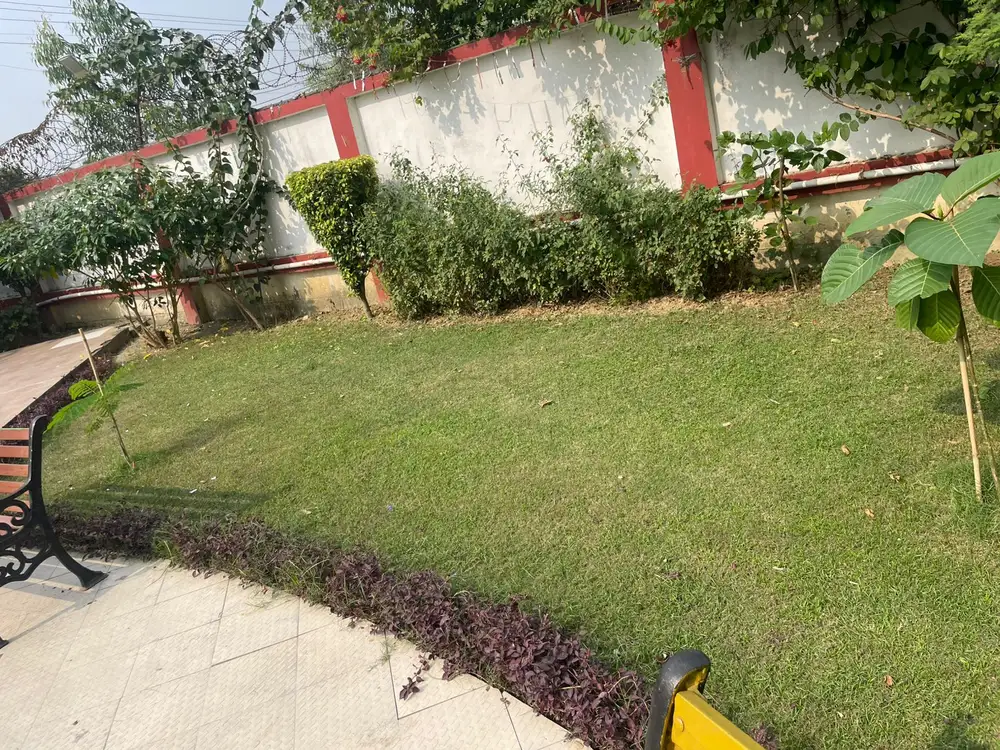 Maintained lawn with purple ground-cover border and bench