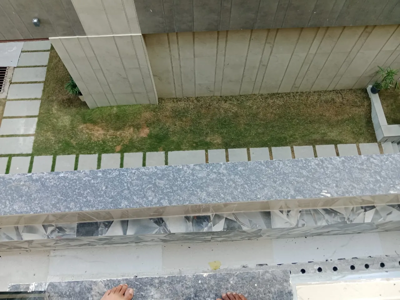 Narrow lawn with stone paver edging beside a clad wall