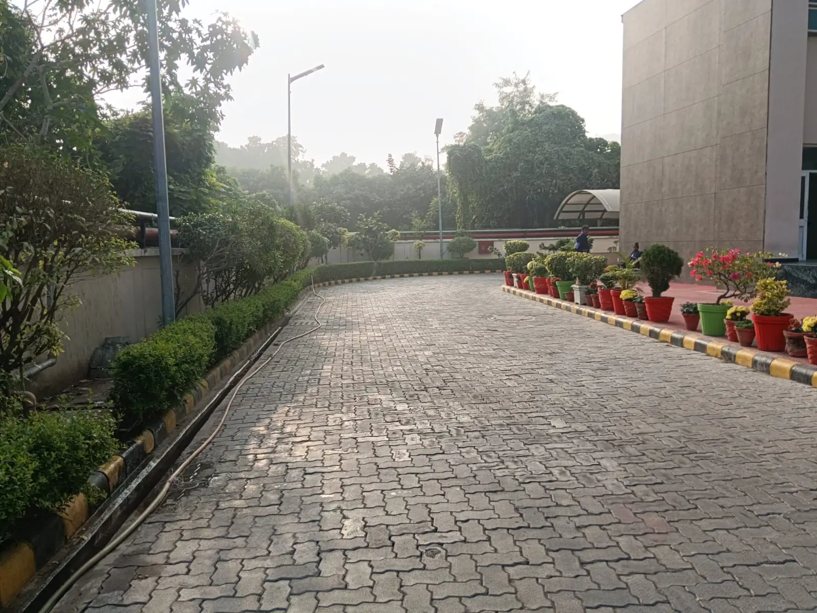 Paver driveway lined with clipped hedges and potted flowers on a campus