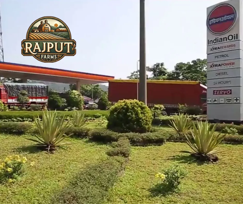 Petrol pump landscaping with lawn and agave plants at an Indian Oil outlet