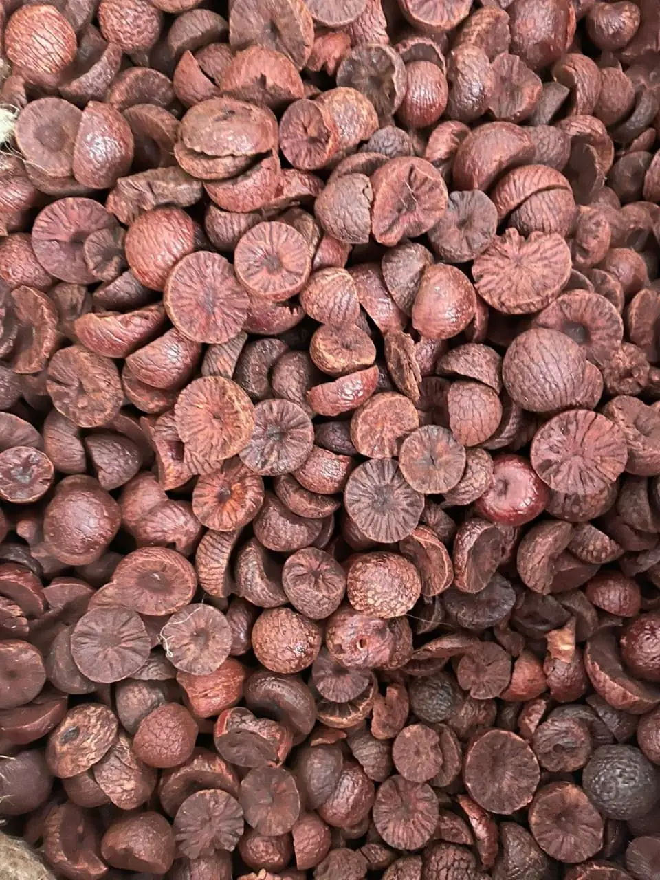 Roasted patti-cut betel nut supari pieces close-up, Rajput Farms farm produce