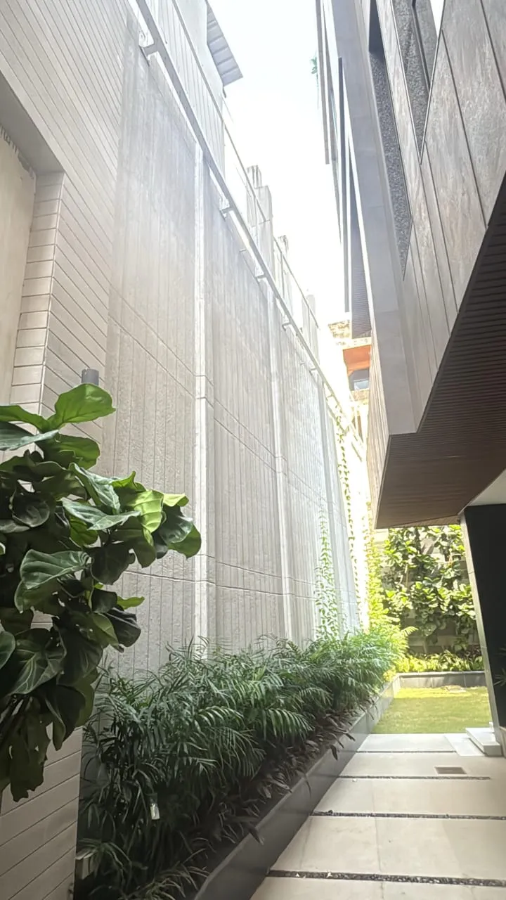 Side passage garden with fiddle leaf fig and stone pavers