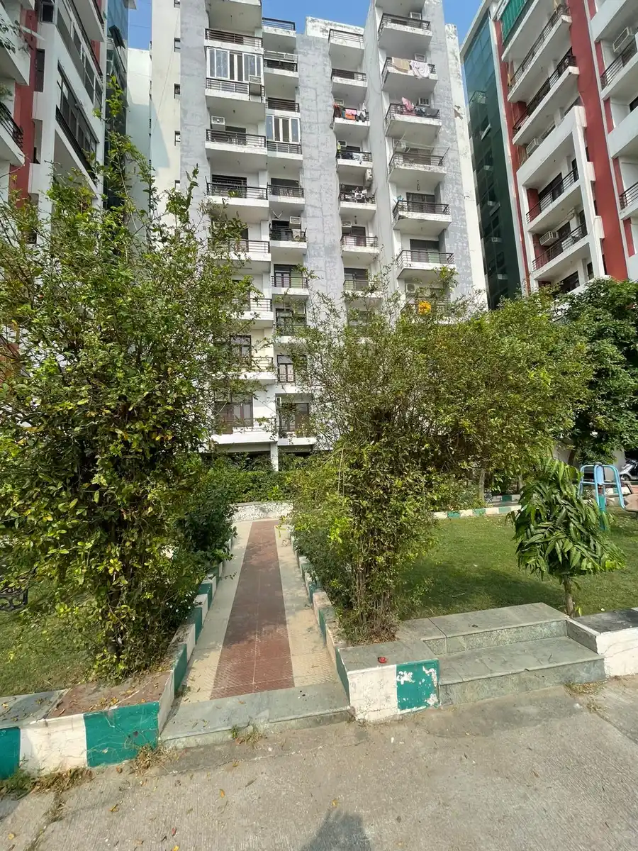 Society garden path between trees and raised beds