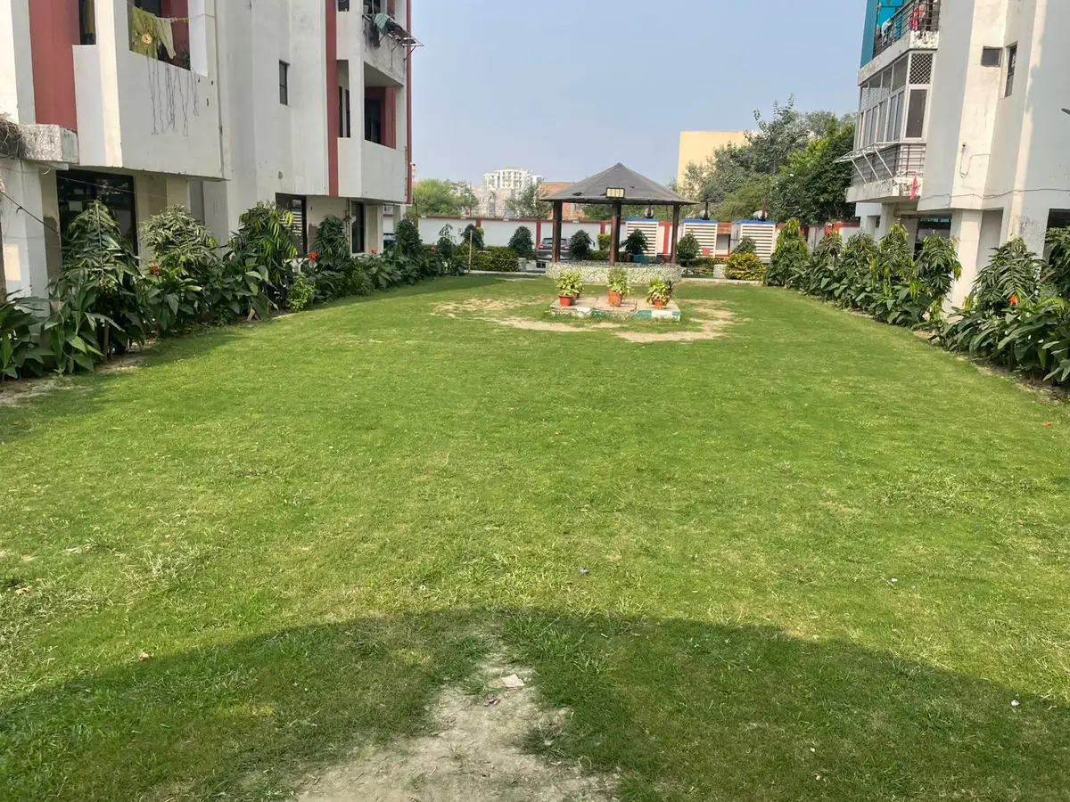Lawn Renovation