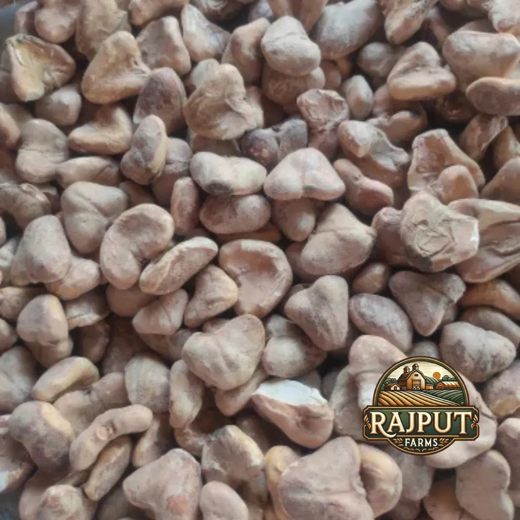 Split betel nut pieces for bulk farm produce supply