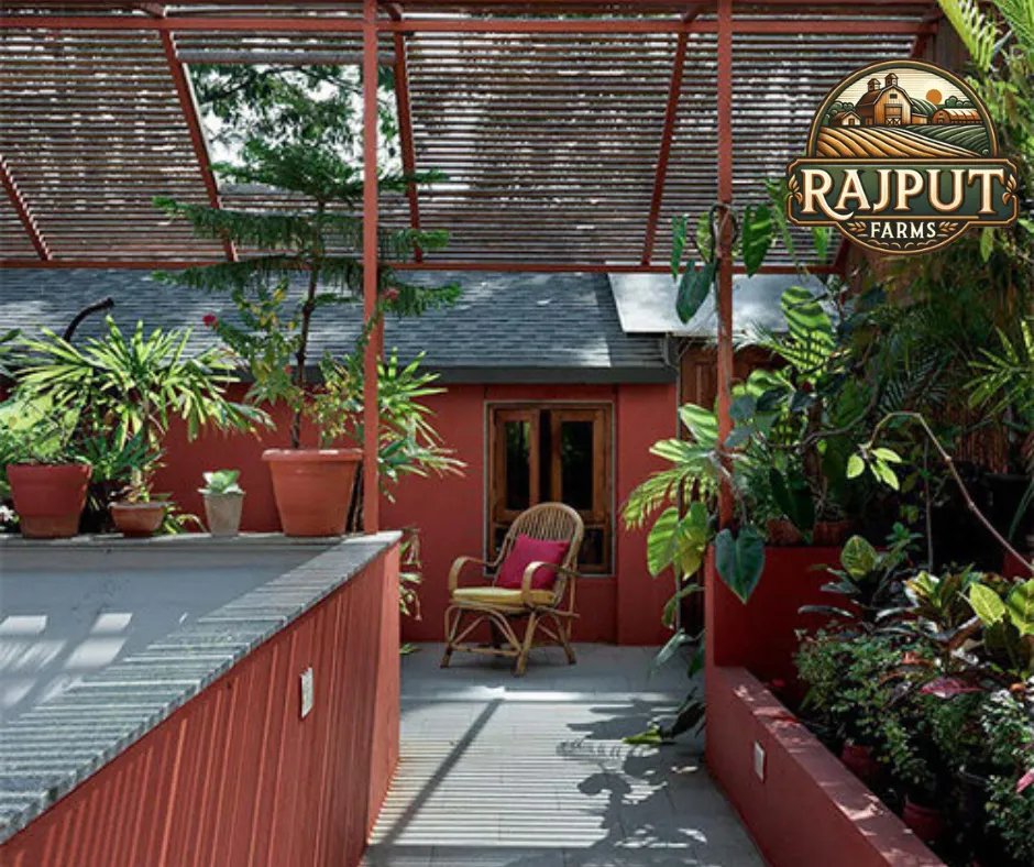 Terrace garden with potted plants and cane seating under red louvres
