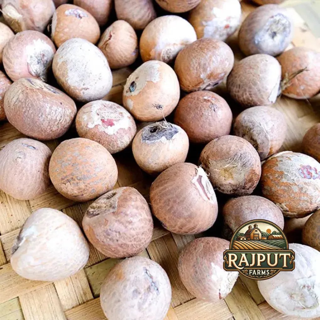 Whole betel nuts on a woven bamboo tray, farm produce