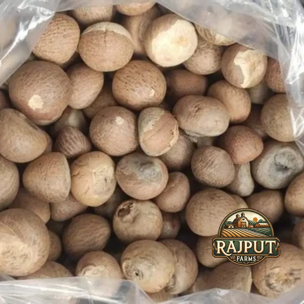 Whole betel nuts packed in a plastic bag for supply