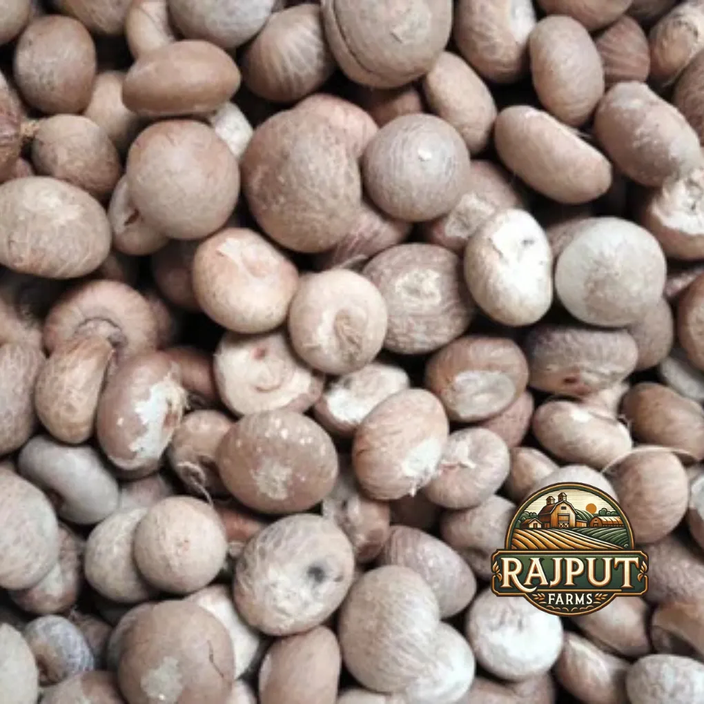 Whole betel nuts (supari) for bulk farm produce supply