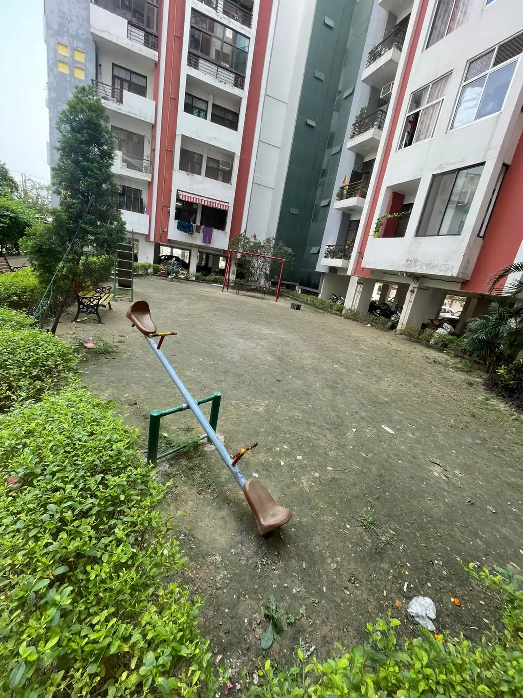 Worn bare society lawn with a seesaw before lawn renovation and replanting