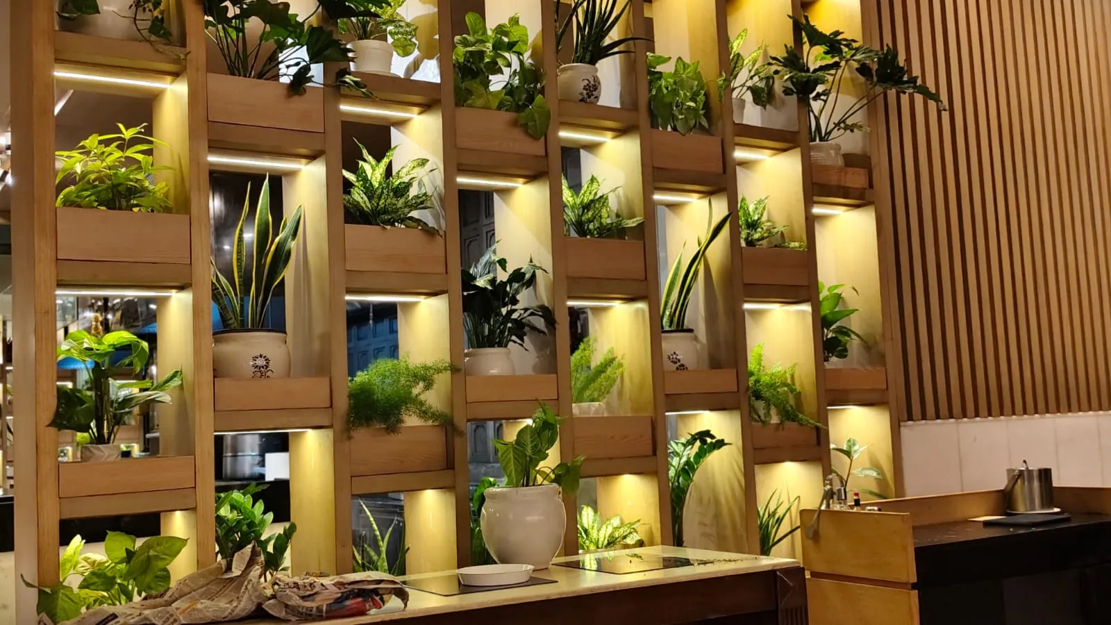 Indoor garden partition with potted plants in ceramic pots, ITC Mughal Agra