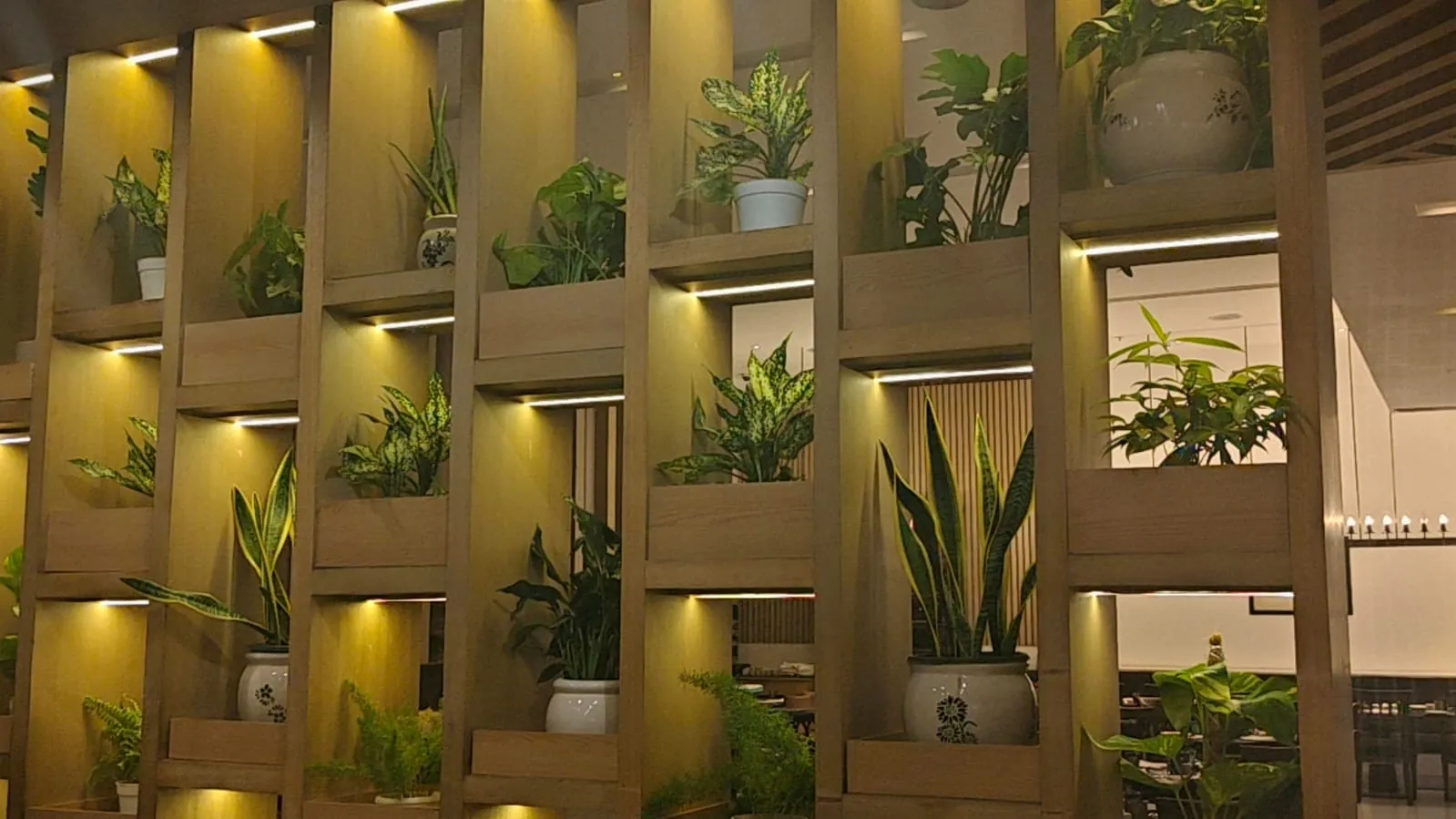 Warm-lit wooden partition with snake plants and pothos in cream pots