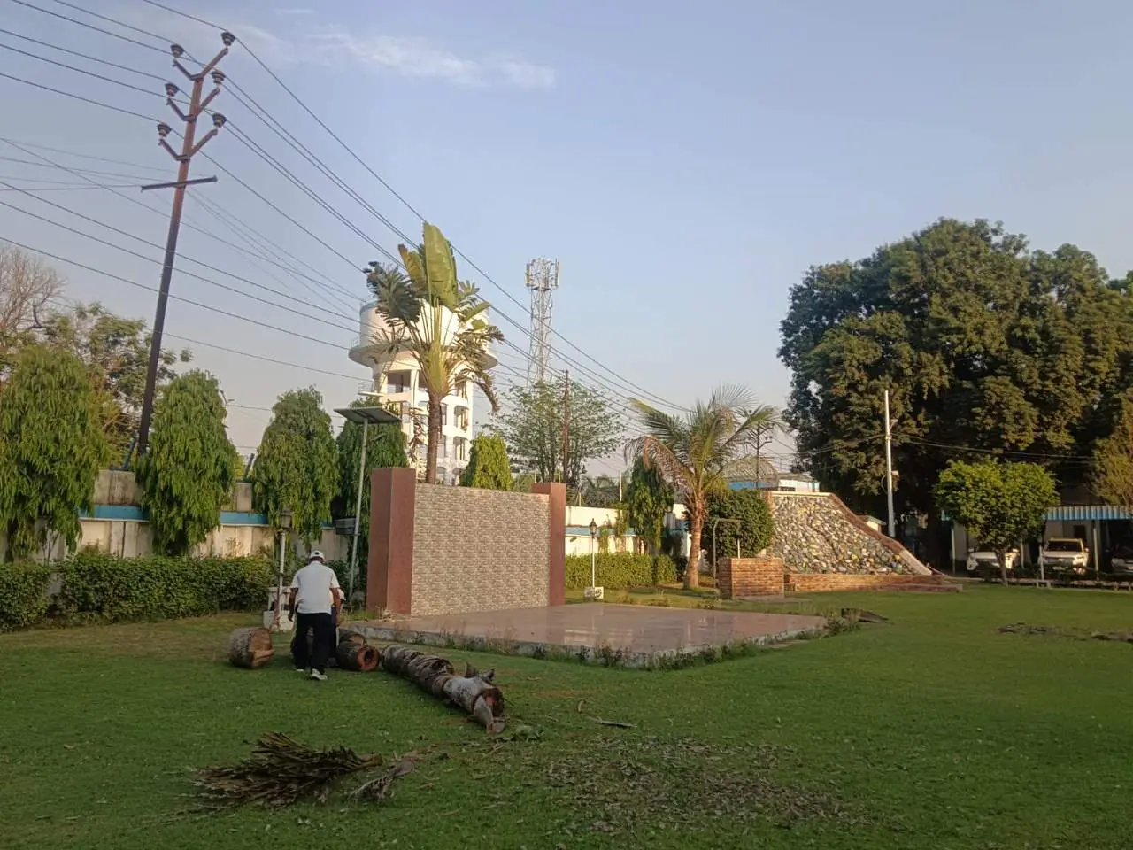 Landscape maintenance work with palm trunk removal on campus lawn, Varanasi