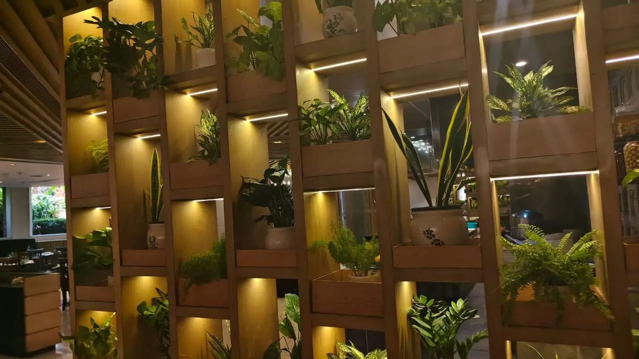 Backlit green partition panels holding peace lily, ferns and snake plants