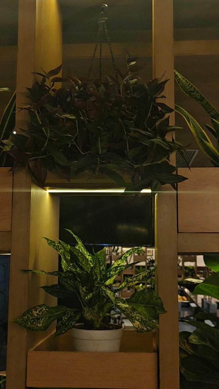 ITC Mughal Landscaping