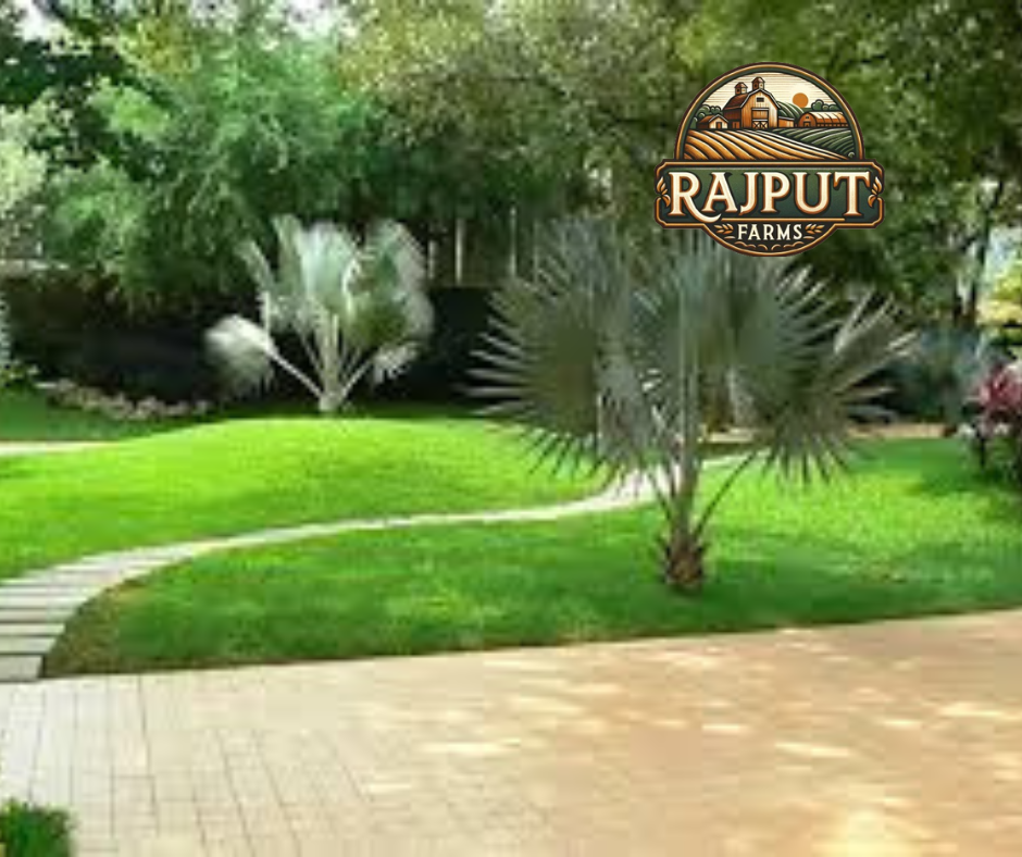 Pratyaksh Kar Bhawan Landscaping
