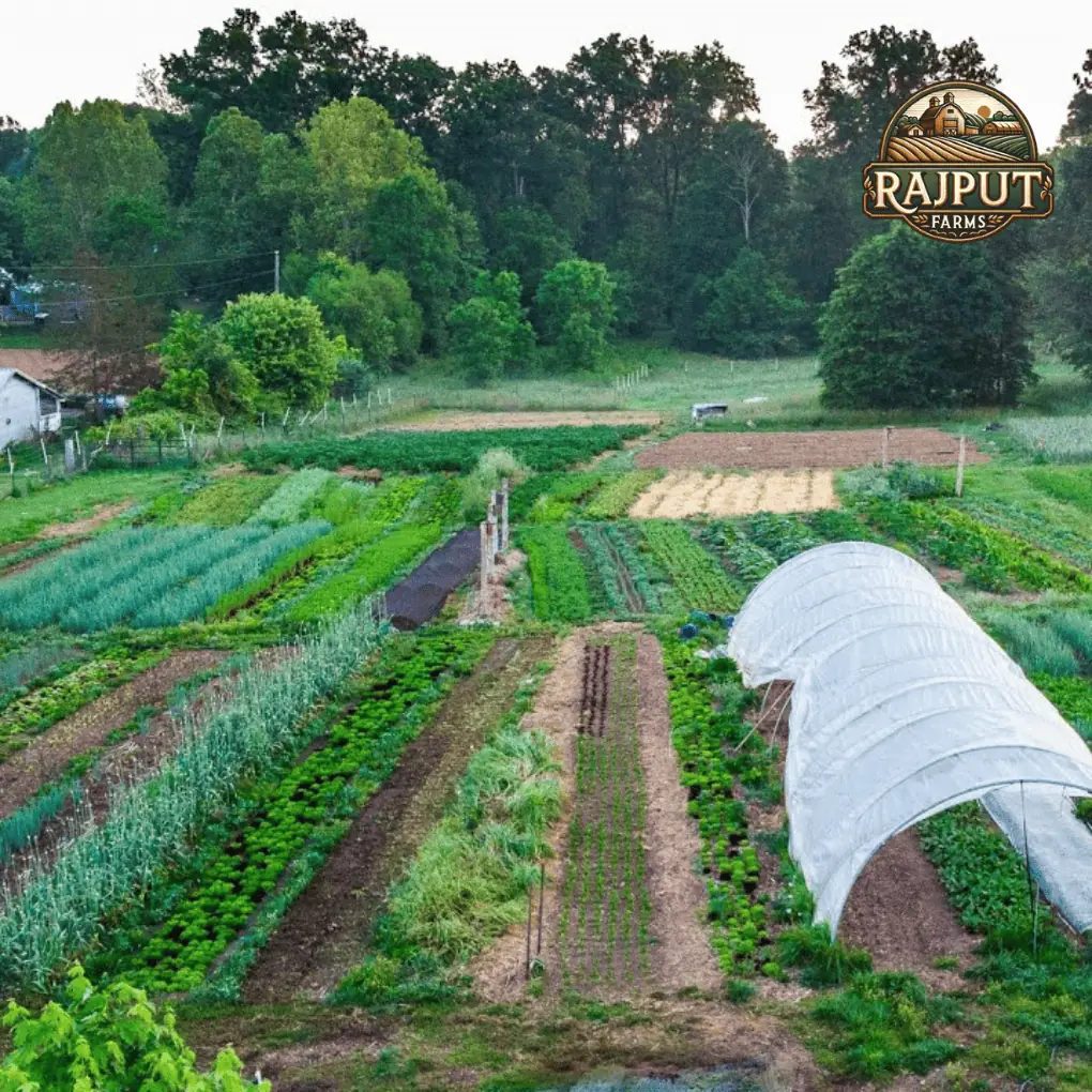 Organic farm plots