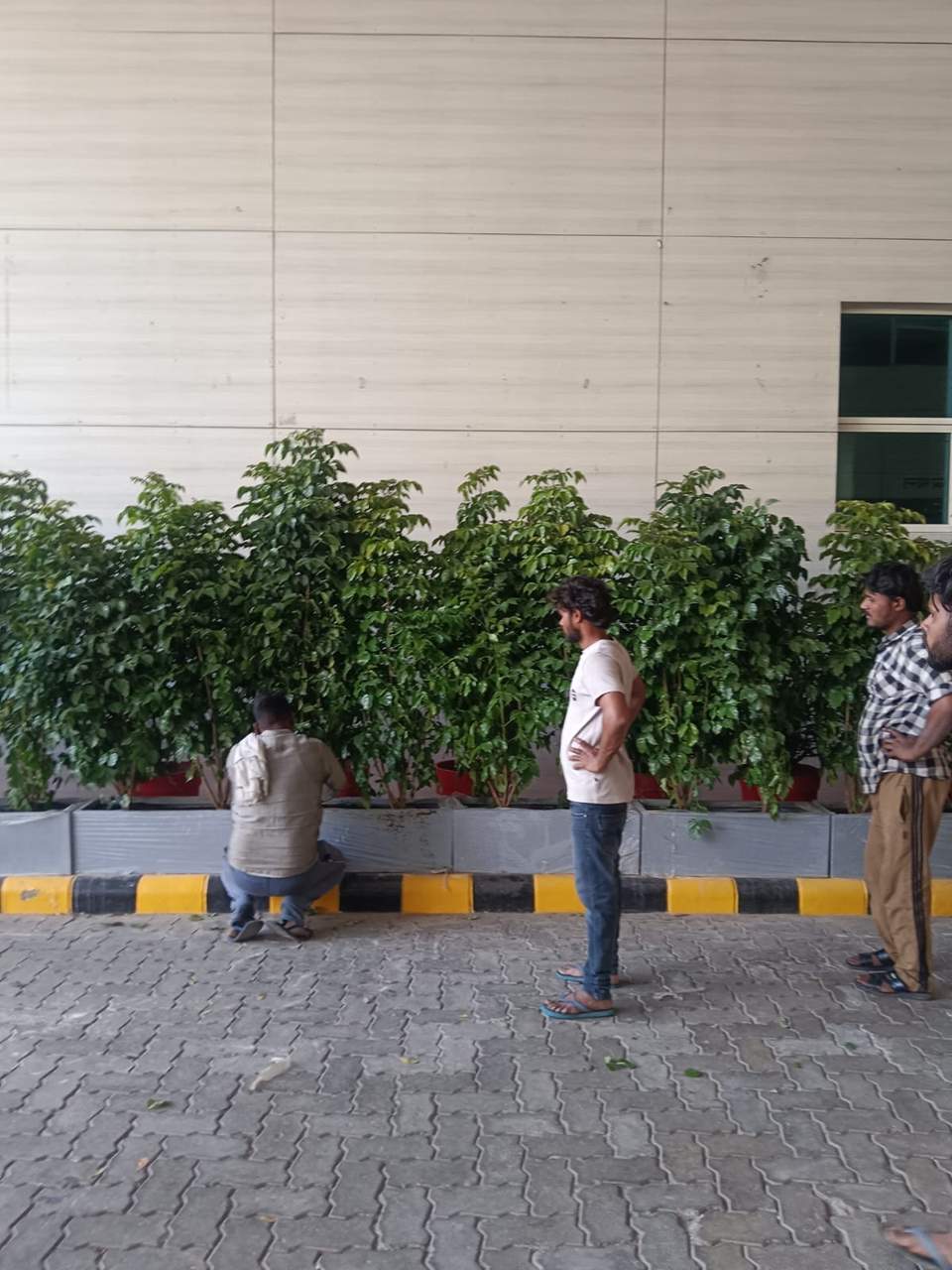 Pratyaksh Kar Bhawan Landscaping