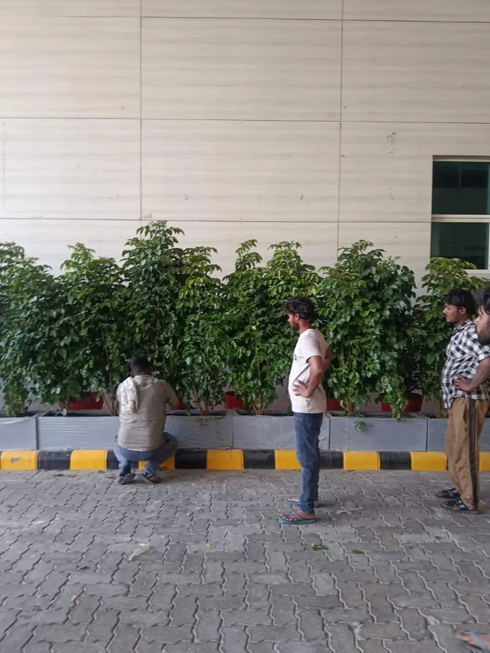 Pratyaksh Kar Bhawan Landscaping