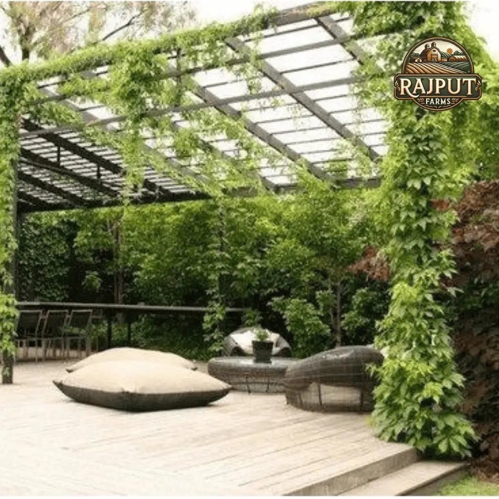 Terrace garden design